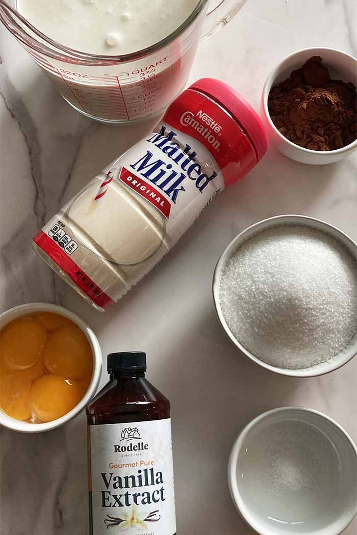 ingredients for homemade chocolate malt ice cream