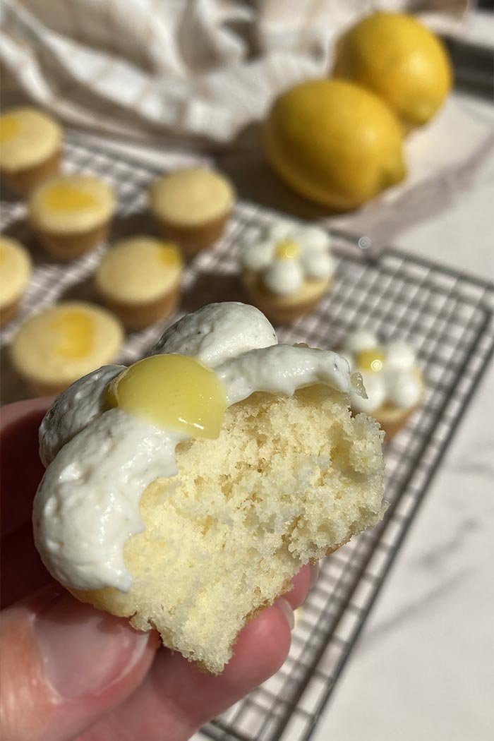 mini lemon chantilly cupcake with whipped cream frosting with a bite taken out to show the inside texture