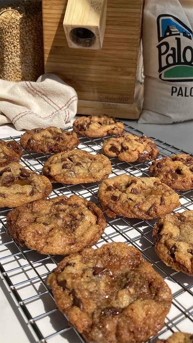 brown butter chocolate chip toffee cookies on a cooling rack in front of a grain mill and containers of wheat berries